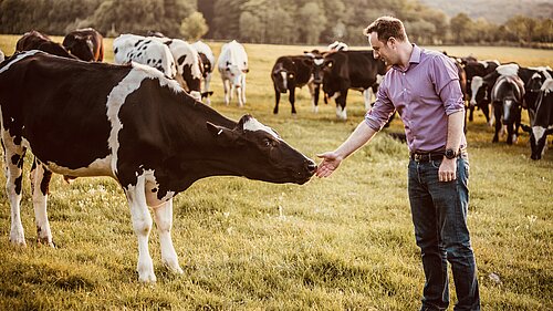Danny with cow