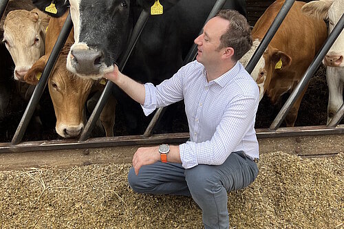 Danny and Cow