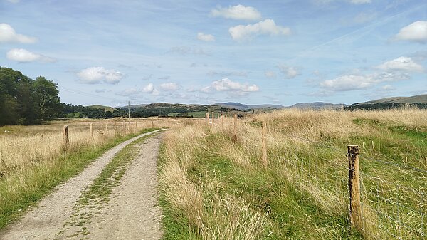 Footpath / bridleway